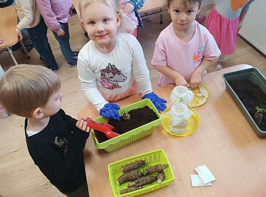 Gr.I Zielony ogródek w sali