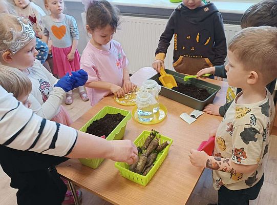 Gr.I Zielony ogródek w sali