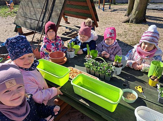 Gr.II Sadzenie kwiatków i porządki w ogrodzie-wiosenne prace przedszkolaków