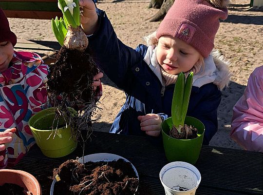 Gr.II Sadzenie kwiatków i porządki w ogrodzie-wiosenne prace przedszkolaków