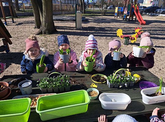 Gr.II Sadzenie kwiatków i porządki w ogrodzie-wiosenne prace przedszkolaków