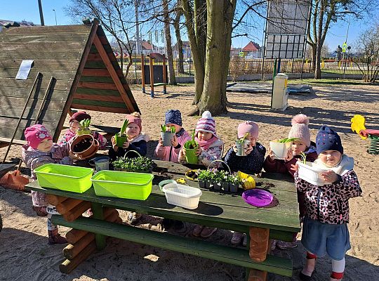 Gr.II Sadzenie kwiatków i porządki w ogrodzie-wiosenne prace przedszkolaków