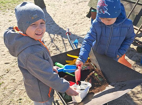 Gr.II Sadzenie kwiatków i porządki w ogrodzie-wiosenne prace przedszkolaków