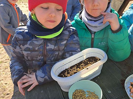 Gr.II Sadzenie kwiatków i porządki w ogrodzie-wiosenne prace przedszkolaków