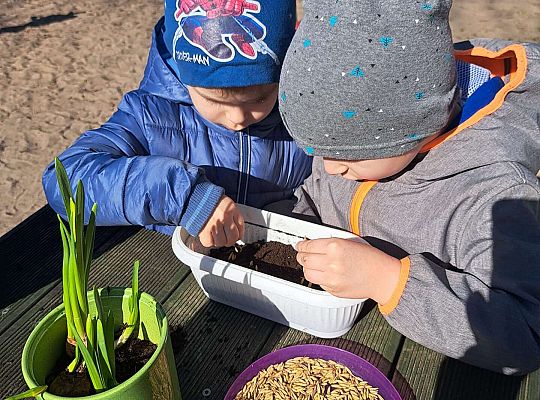 Gr.II Sadzenie kwiatków i porządki w ogrodzie-wiosenne prace przedszkolaków