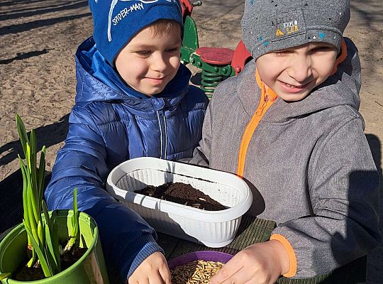 Gr.II Sadzenie kwiatków i porządki w ogrodzie-wiosenne prace przedszkolaków