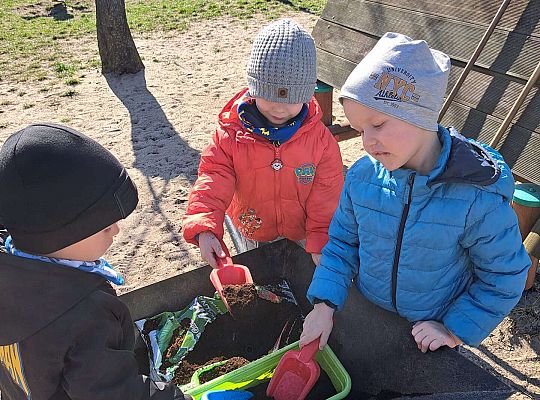 Gr.II Sadzenie kwiatków i porządki w ogrodzie-wiosenne prace przedszkolaków