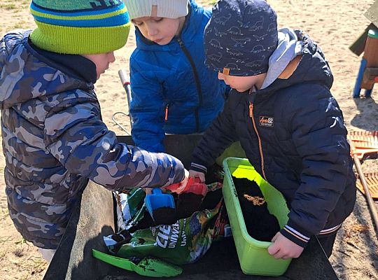 Gr.II Sadzenie kwiatków i porządki w ogrodzie-wiosenne prace przedszkolaków