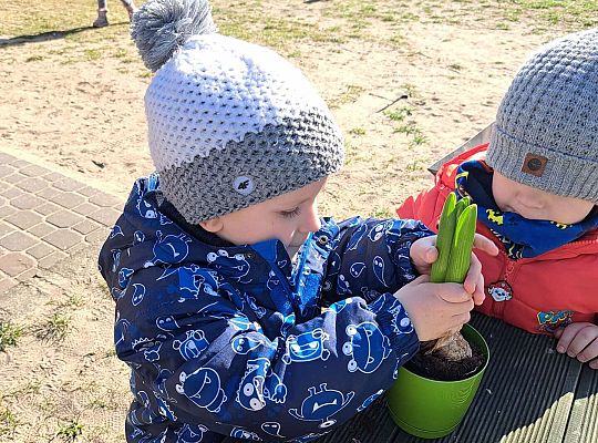 Gr.II Sadzenie kwiatków i porządki w ogrodzie-wiosenne prace przedszkolaków