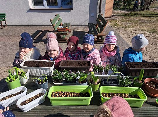 Gr.II Sadzenie kwiatków i porządki w ogrodzie-wiosenne prace przedszkolaków