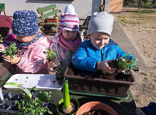 Gr.II Sadzenie kwiatków i porządki w ogrodzie-wiosenne prace przedszkolaków
