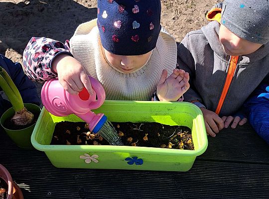 Gr.II Sadzenie kwiatków i porządki w ogrodzie-wiosenne prace przedszkolaków