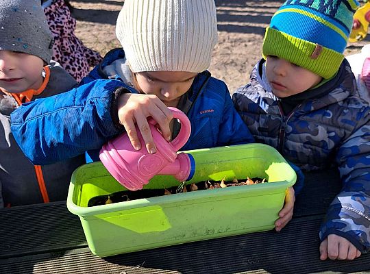 Gr.II Sadzenie kwiatków i porządki w ogrodzie-wiosenne prace przedszkolaków