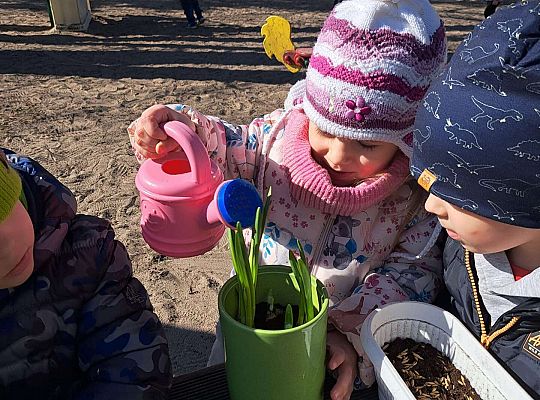 Gr.II Sadzenie kwiatków i porządki w ogrodzie-wiosenne prace przedszkolaków