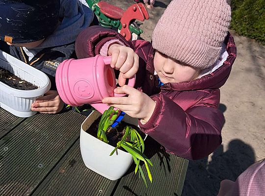 Gr.II Sadzenie kwiatków i porządki w ogrodzie-wiosenne prace przedszkolaków