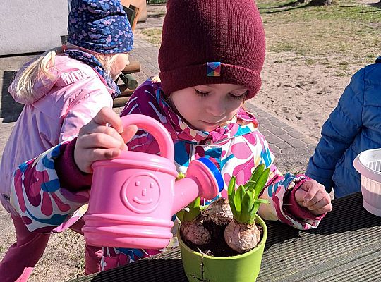Gr.II Sadzenie kwiatków i porządki w ogrodzie-wiosenne prace przedszkolaków