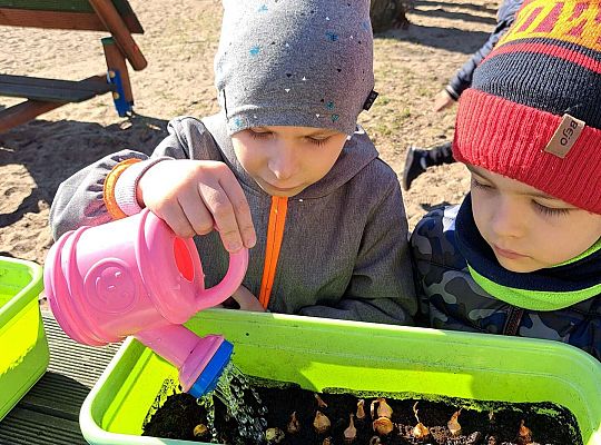 Gr.II Sadzenie kwiatków i porządki w ogrodzie-wiosenne prace przedszkolaków