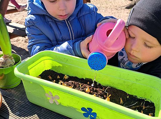 Gr.II Sadzenie kwiatków i porządki w ogrodzie-wiosenne prace przedszkolaków