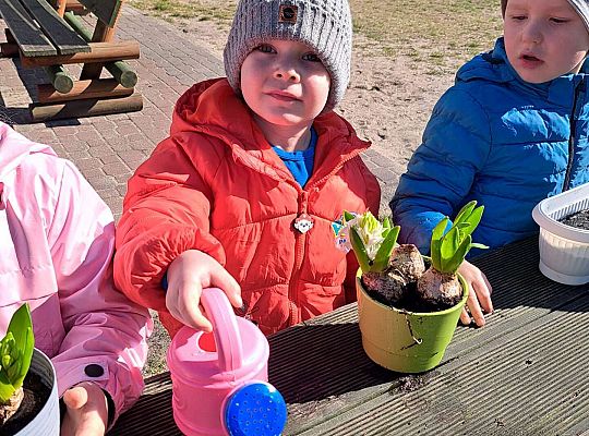 Gr.II Sadzenie kwiatków i porządki w ogrodzie-wiosenne prace przedszkolaków