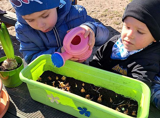 Gr.II Sadzenie kwiatków i porządki w ogrodzie-wiosenne prace przedszkolaków