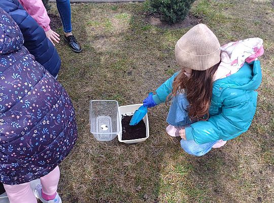 Gr.IV Sadzimy i siejemy