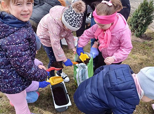 Gr.IV Sadzimy i siejemy