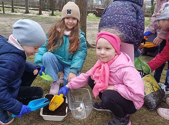 Gr.IV Sadzimy i siejemy