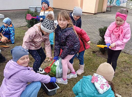 Gr.IV Sadzimy i siejemy