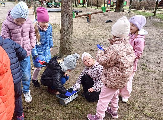 Gr.IV Sadzimy i siejemy