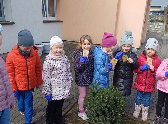 Gr.IV Sadzimy i siejemy