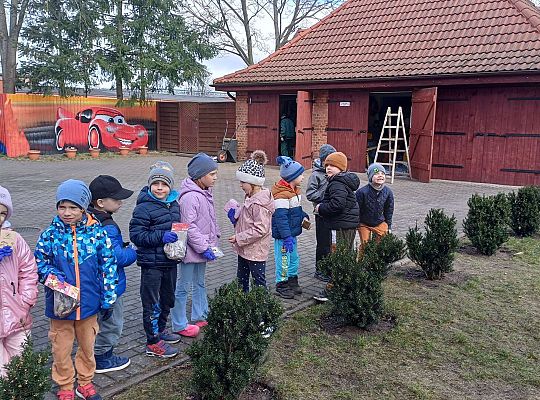 Gr.IV Sadzimy i siejemy