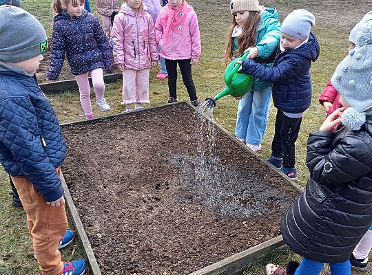 Gr.IV Sadzimy i siejemy