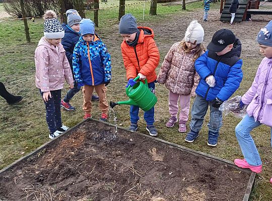 Gr.IV Sadzimy i siejemy