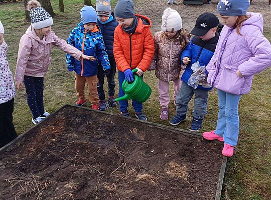 Gr.IV Sadzimy i siejemy