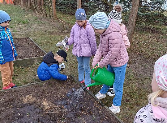 Gr.IV Sadzimy i siejemy