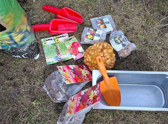 Gr.IV Sadzimy i siejemy