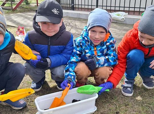 Gr.IV Sadzimy i siejemy