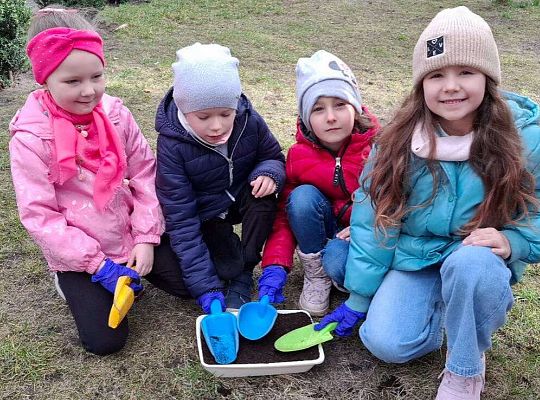 Gr.IV Sadzimy i siejemy