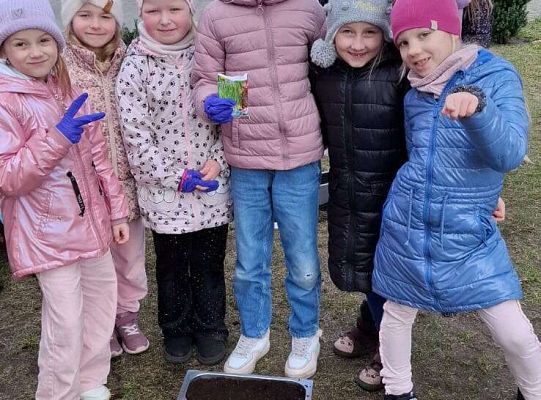 Gr.IV Sadzimy i siejemy