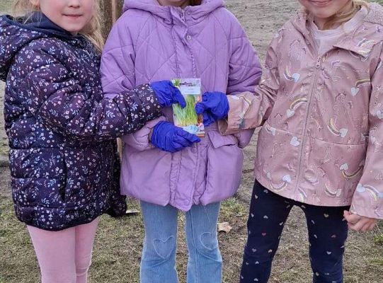 Gr.IV Sadzimy i siejemy