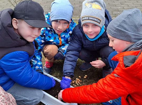 Gr.IV Sadzimy i siejemy