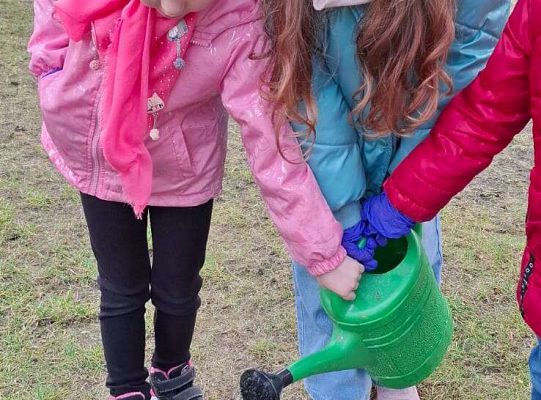 Gr.IV Sadzimy i siejemy