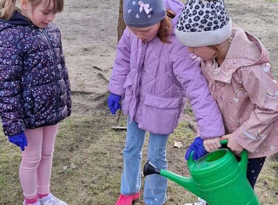 Gr.IV Sadzimy i siejemy