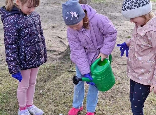 Gr.IV Sadzimy i siejemy