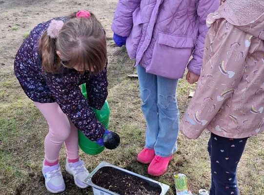 Gr.IV Sadzimy i siejemy