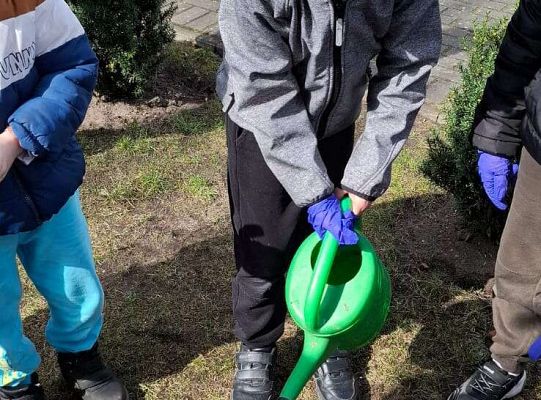 Gr.IV Sadzimy i siejemy