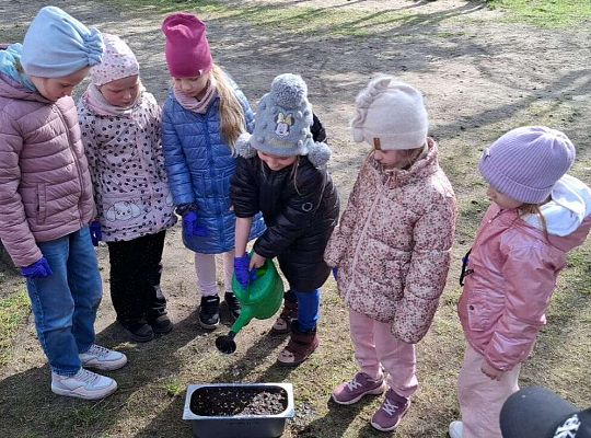 Gr.IV Sadzimy i siejemy