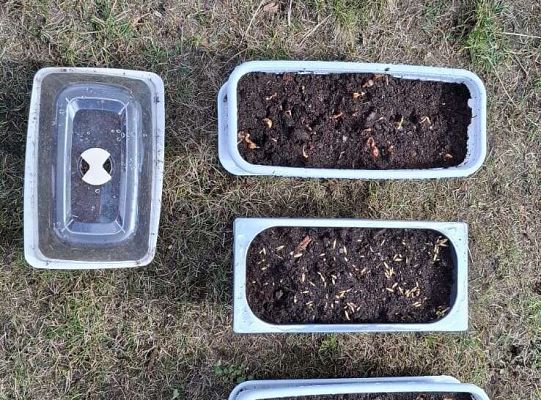 Gr.IV Sadzimy i siejemy