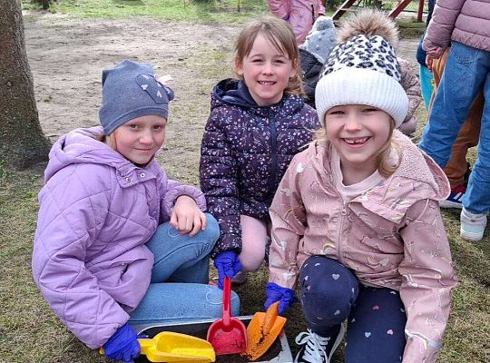 Gr.IV Sadzimy i siejemy