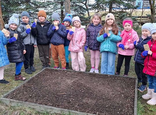 Gr.IV Sadzimy i siejemy